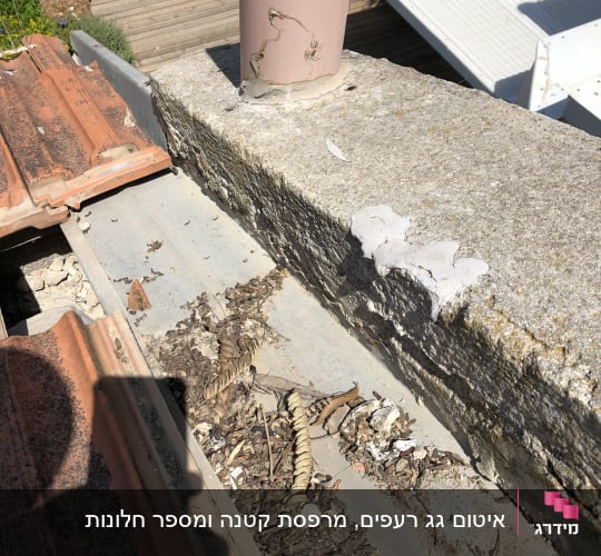גג עם רעפים אדומים, צינור ורוד ולכלוך